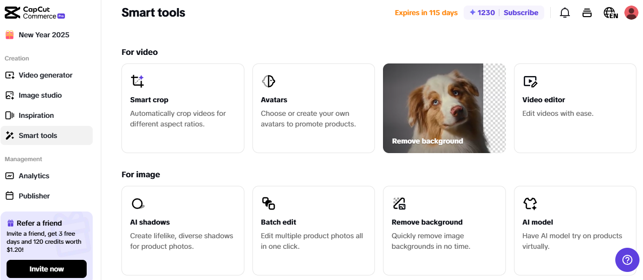 Pippit Smart Tools with AI features like background removal and batch editing for dropshipping software in 2025.